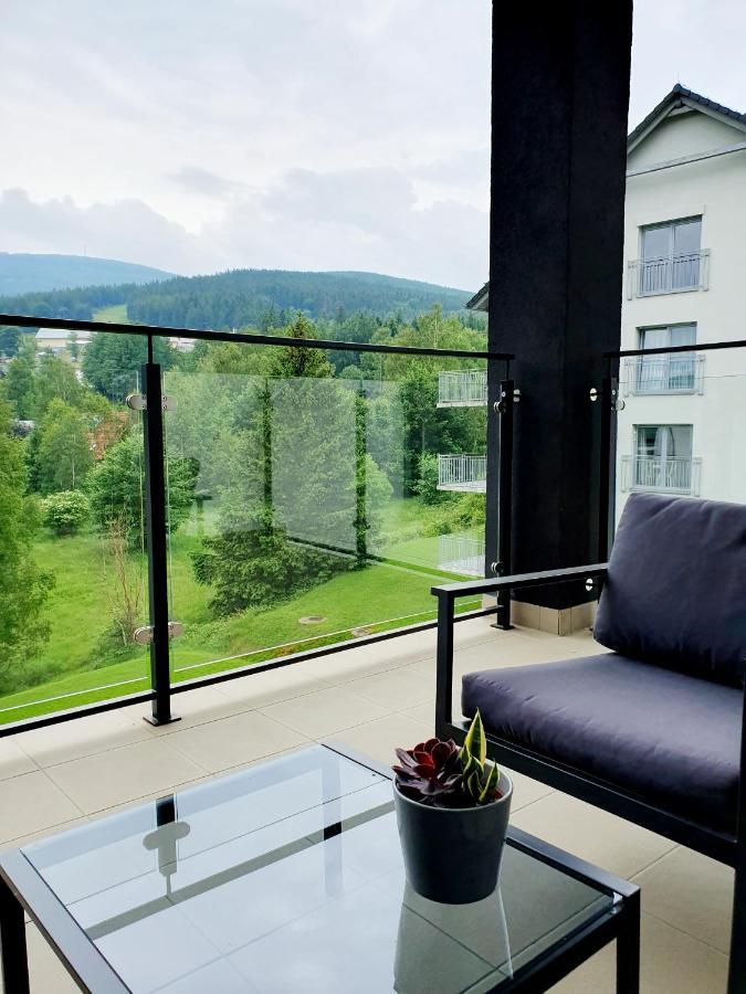 Apartament Wlochatka Z Sauna Finska Świeradów-Zdrój 외부 사진